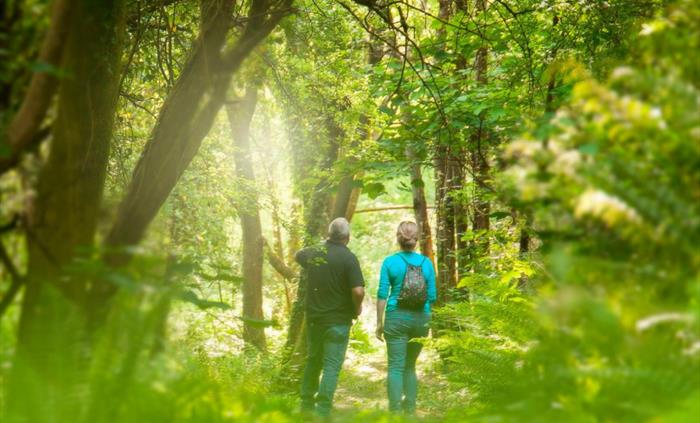 With the dappled sunlight this is one of our favourite walks especially in Springtime